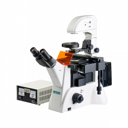 Inverted Fluorescence Microscope LT-IFM202